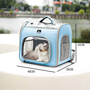 o Lp L[obO J[g ^ Lp obO  ^т ֗ ʋC 2C  ^ׂ ybg obOe L P[W