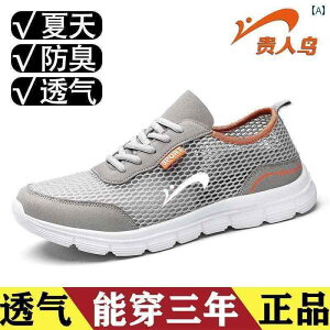 EH[LO V[Y Y Guirenniao YV[Y  ʋC 2025N X|[c V[Y 傫 bV VO jO Y