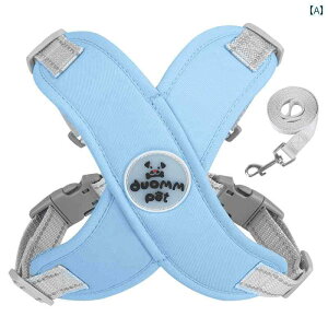 n[lX [h p p `F[  Up [v xXg^ ߉\  n[lX efB R[M[ t`uhbO ^  