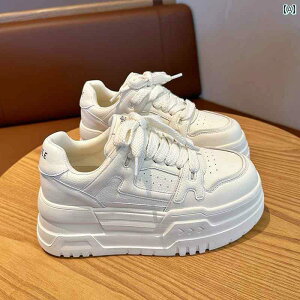 SnQ EH[LOV[Y fB[X v  zCg V[Y fB[X 2025 t g Abv v Xj[J[ JWA X|[c