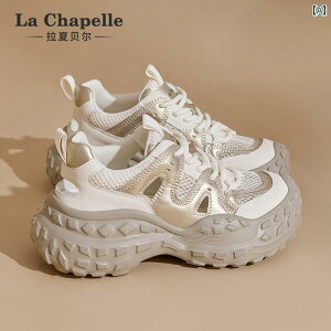 SnQ EH[LOV[Y fB[X Vy X|[c JWA V[Y fB[X 2025 t Xg[ nCLO AEghA ʋC _bh