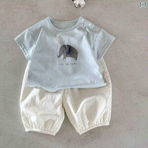 xr[  K xr[ A  ĕ 2025 V^ j̎q q   TVc pc Xvbg X[c