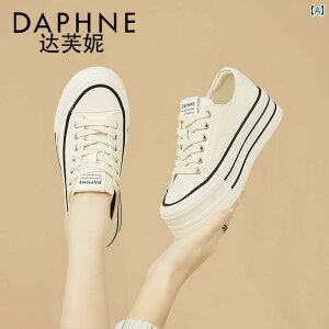  Xj[J[ fB[X _tl  zCg V[Y fB[X 2025N  ɂ \tg \[ ėp LoX