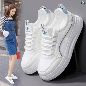  Xj[J[ fB[X p g zCg V[Y 2025 bV ʋC wp 傫TCY 41 ` 43 X|[c