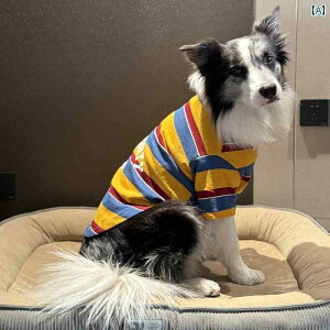 p TVc    ėp  XgCvVc K ʋC  h~ ^ ^ p uh[ S[fgo[