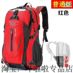 AEghA bN ֗ AEghA oR obO 40 Le y s obN pbN Y fB[X h TCNO XN[