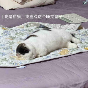 ybg Q nEX Lp Q ėp xbh ybgp p I[ V[Y ʗp 2025N ʋC