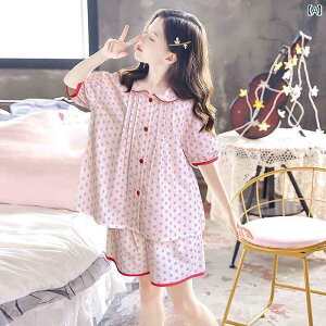 q pW} 킢 ̎q pW} Zbg 2024N qp  ƒ  w Z  ̎qp  