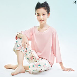  Q  p Lbg} _[ qp pW} ̎q 傫TCY  ⊴ ƒ  w 2025N