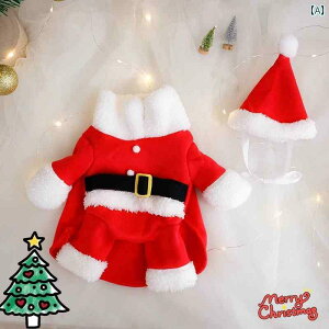  jbg Z[^[  NX}X    ^  H~N efBxA p_ ybg  ϐg