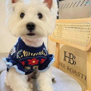  jbg Z[^[ H~ ybg   ptX[u ViEU[ EGXg nCh ^ g Z[^[ [XX[u xXg