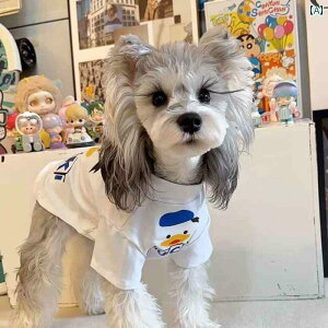  jbg Z[^[ t    h~ VF i efB L ^ 