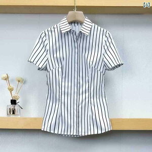 p d rWlX Ă p v X[c ze tg fXN LbV[ EFC^[p  XgCvVc