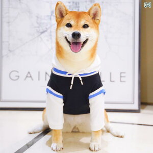 p p[J[ EFA  H~ Č  p[J[ tFCN c[s[X C X^C t[ht JWA XEFbgVc R[M[