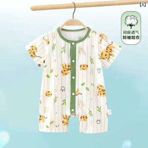 ʋC Q {fBX[c xr[p xr[ T}[ WvX[c j̎q p[X    ̎q  pW} GAR t