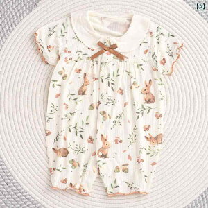 ʋC Q {fBX[c xr[p V l`  ^Cv A  V[g pc WvX[c fB[X Ԃ  ^ [_ N[