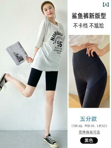 Kpc V[Npc fB[X  p  ėp  nCEGXg X MX    K グ K tBbglX TCNO pc 5_ 