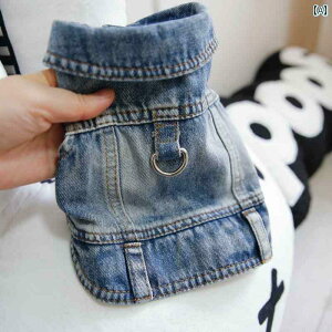 񂿂p xXg ybg efBxA L ViEU[ |jA efB   t fjxXg [h