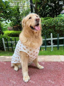 񂿂p xXg  K[[ ^   ėp ʋC S[fgo[ uh[ p xXg ybg  h~