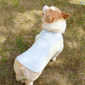 񂿂p xXg Č R[M[ _bNXtg p   ėp   xXg  h~ Ăh~ ybg