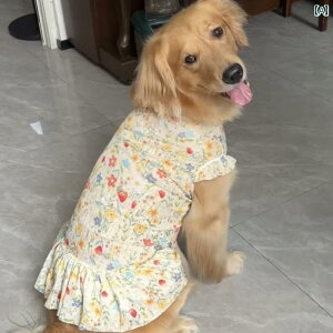 킢 p s[X ^ p vZX hX ėp  S[fgo[ TGh uh[ AXJ 