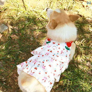 킢 p s[X R[M[ Č rV efB   t  vZX TXy_[ XJ[g  h~ Ăh~ xXg ʋC