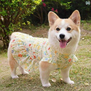 킢 p s[X R[M[ Č rVt[[   2025 t  vZX XJ[g xXg  h~ Ăh~