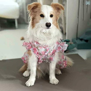 񂿂p hX ybg   t 킢 ^ ^  vZX X^C ԕ hX