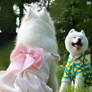 񂿂p hX ybg ^ p hX ^  TGh S[fgo[ uh[ JWAEFA