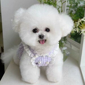 ^p hX 킢 ybg L   vZX ^ ViEU[ efB t [X XJ[g