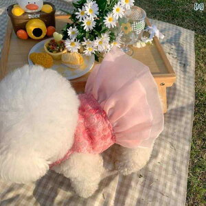 ^p hX 킢 t ybg o EFfBOhX hX WvX[c }`[Y |jA rVt[[  L 