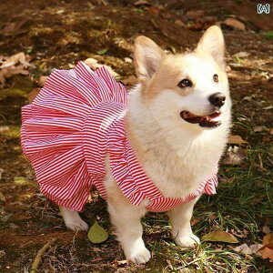 ^p hX 킢 R[M[ Č efB rVt[[   tėp  vI[o[ xXg Ăh~  h~ vZX hX