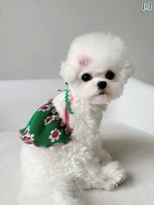 ^p hX 킢 p T}[ XJ[g hX rV efB   t` u[ ėp N[ TXy_[ Lp