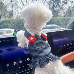 ^p hX 킢 Petcircle   rVt[[ ybg fj vZX qp XJ[g tHp hX ^ gNV