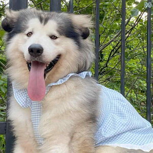 ^p hX 킢 ybg p   `FbN  [X XJ[g ^  ^ ^ AXJ TGh S[fgo[