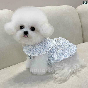 ^p hX 킢    ^ X^C gNV obN t` t[tFA[ XJ[g ybg rV efB L