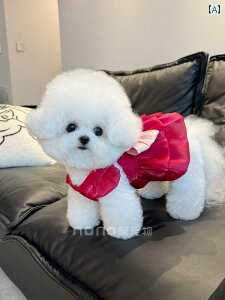 ^p hX 킢     ʋC C   vZX hX XJ[g ybg efBxA p_ gNV obN