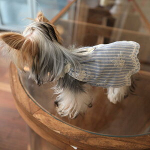 ^p hX 킢 Rbg \tg |WVjO [X XJ[g u[ zCg XgCv hX L  rV [NV[ ybg 