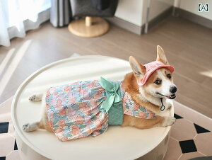 ^p hX 킢 ybgp m[X[u t[ hX    t   ʋC   XJ[g R[M[ ^