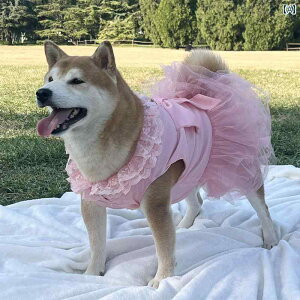 킢 񂿂 hX p VtH o^tC EFfBO K[[ ``hX ^  ^ S[fgo[ TGh {[_[R[ Č vZX hX