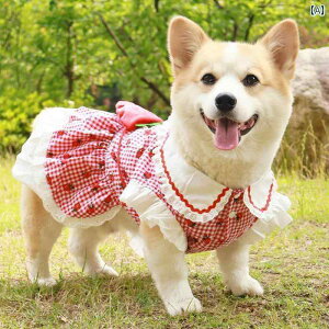 킢 񂿂 hX R[M[ Č rVt[[   t  xXg  h~ Ăh~ 킢 vZX XJ[g