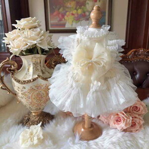 킢 񂿂 hX ybg   efB |jA [^ vZX hX Oh[ L  h~ |j[