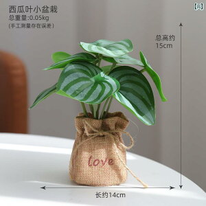 CeA   C  k V~[V O[ A A rO [  ItBX fXN gbv  vX`bN Ԃ