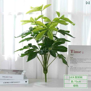 CeA  fBXvC V~[V t gx[ oii AJV ^[g obN [t vX`bN O[ vg   t VOo` tFC