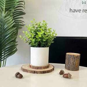 CeA  fBXvC V~[V Ԃ i V~[V ~  A A ~j fXN gbv rO [ C Lrlbg  erL