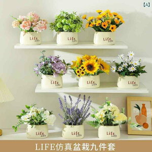 CeA  fBXvC  V~[V t[fR[V A vX`bN u[P rO [ |[` {I X[p[ }[Pbg Gh VFt fR[V