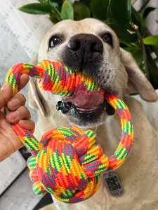 ̂ ybg    [v mbg {[ C^NeBu Xgb` ^ ^  V񂾂  񂾂 ꂢɂ q Zt vC{[