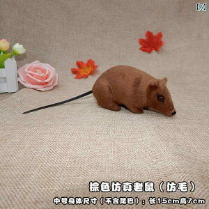   V~[V }EX  gbN tFCN GCvt[ 蕨 