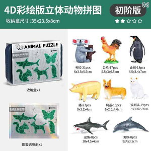   Newki qp  ߋ pY V~[V 4 D gݗ   n` J}L   Fm j̎q