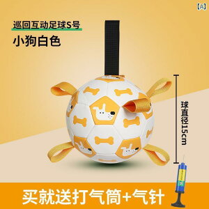 p     {[ R[M[ {[_[R[ uh[ g[jO vC tbg{[ ^  ^ ybg ݂ h~ pi